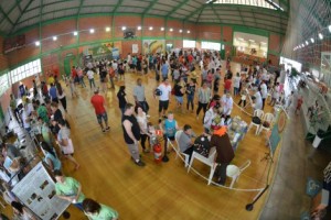 geral-470x313